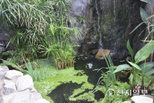 [지역명소] 대전 한밭수목원 푸르름 만끽, 봄을 마신다… 열대식물원 촉촉한 공기 재충전