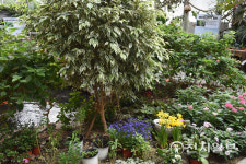 [지역명소] 대전 한밭수목원 푸르름 만끽, 봄을 마신다… 열대식물원 촉촉한 공기 재충전