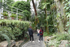 [지역명소] 대전 한밭수목원 푸르름 만끽, 봄을 마신다… 열대식물원 촉촉한 공기 재충전