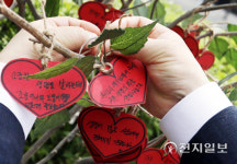 [천지포토] 사랑으로 가득 찬 생명나눔 ON 나무