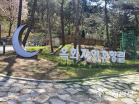 옥화자연휴양림 거리두기 해제로 시설 전부 개방