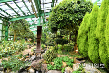 [지역명소] 호시절 맞이한 초여름 숲길… 또다시 오고 싶은 자연 속 쉼터