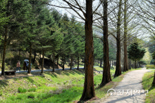 [지역명소] 호시절 맞이한 초여름 숲길… 또다시 오고 싶은 자연 속 쉼터