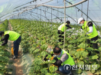 농협경제지주, 전국 각지 농가서 일손 보태