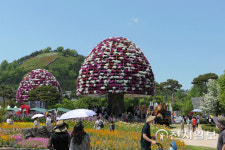 [천지포토] 전남 함평 초록빛 나비동산