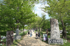[지역명소] 신록이 아름답다… 무릉도원 연상되는 피서 쉼터