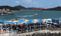 강진 마량놀토수산시장, 5000여명 인파로 북적