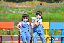 [포토뉴스] 장성 황룡강 (洪)길동무 꽃길축제, 어린이 체험 프로그램 인기