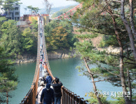 충북도 흔들 출렁다리 18곳 안전관리 나서