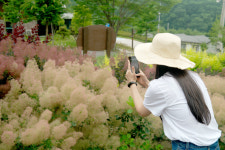 Naver search result photo 6
