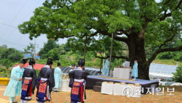 당진시 송산면, 면민 무사안녕 기원… 회화나무와 함께하는 안녕기원제 개최
