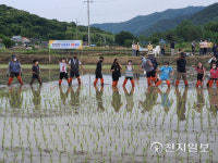 장성군 서삼면, 서삼초 학생·학부모 초청 모내기 체험