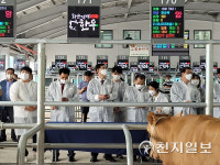 농협 축산경제, 화순축협에 스마트 가축시장 개장
