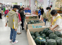 정읍시 씨 없는 수박 제주도서 특판행사