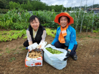 광명시, 시민주말농장 수확 농산물 등 기부 나눔 실천