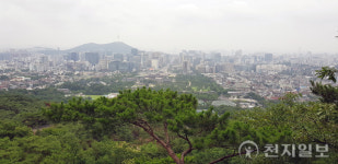 [단독❘사진으로 보는 역사] 1920년대 후반 서울 시가지 모습… 북악산 소나무 ‘굴곡진 한국史’ 대변