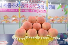 세종시, 3년만에 ‘조치원복숭아축제’ 29일∼30일 개최