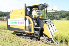 강화들녘 추수 한창⋯ 17~18일 ‘강화섬포도’ 축제 열어