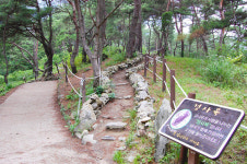 [지역명소] 자연이 선사한 옛길 그대로… “괴산호 따라 거닐며 자연 만끽”