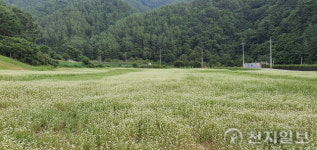 석포면•주민 힘 모아 ‘석포, 피어나다’ 프로젝트 진행