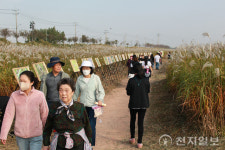 [포토] 억새 축제 전시회서 힐링하는 시민들