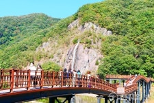 [지역탐방] 담양호 따라 걷는 용마루길… “가을 정취에 소나무 향 솔솔”