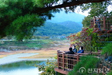 [지역탐방] 담양호 따라 걷는 용마루길… “가을 정취에 소나무 향 솔솔”