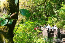 [지역탐방] 담양호 따라 걷는 용마루길… “가을 정취에 소나무 향 솔솔”