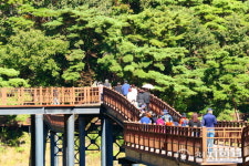 [지역탐방] 담양호 따라 걷는 용마루길… “가을 정취에 소나무 향 솔솔”