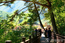 [지역탐방] 담양호 따라 걷는 용마루길… “가을 정취에 소나무 향 솔솔”