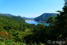 [지역탐방] 담양호 따라 걷는 용마루길… “가을 정취에 소나무 향 솔솔”