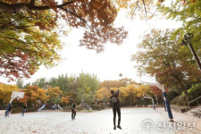 [포토] 가을색으로 물들어가는 공원