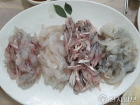 [지역명소] 보령해저터널과 대천항 수산시장 달빛등대로… “싱싱한 회 맛보고 달빛 별빛 색다른 낭만을”