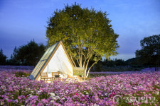 국가정원과 해양정원을 동시에… 세계 유일의 생태도시 꿈꾼다