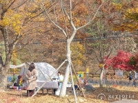 [지역명소] 대전 동구 상소동 산림욕장과 오토캠핑장… “이국적 돌탑 사이로 낙엽 밟으며 느끼는 만추”