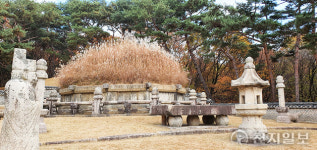 [왕릉, 처세와 경영을 말하다<2>] 낯선 곳으로 떠나라! 156년 후 조선왕조를 세운 비결