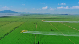 [현대이야기<32>] 폐선 활용한 ‘정주영식 공법’… 세계 건설사에 족적 남겨