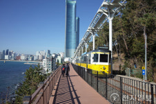 우영우·손흥민·순천만 국가정원… 올해 ‘한국관광의 별’ 선정