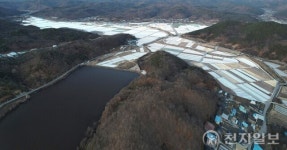 경북도, 의성마늘…노지스마트농업 시범사업으로 선정