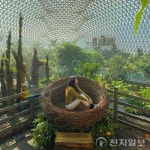 설연휴 특별한 행사가 준비된 경남 관광지 5곳