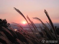 [지역명소] 빛의 도시 ‘광주’… 도심 속 역사·문화탐방 누려볼까