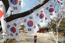 [포토] 효창공원 앞 가득한 태극기