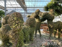 [지역명소] 안산시, 식물원 미리 만나는 봄… 열대 식물 보며 자연 속 힐링체험