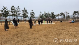 인천시, 반려동물 출생부터 장례까지 꼼꼼히 챙긴다