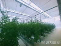 충남도, 100억 대 청년 스마트팜 2곳 조성