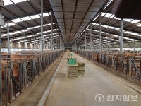 농협, 한우 수급조절 위해 암소비육 캠페인 추진