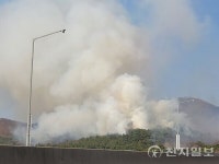[포토] 영천시 청통면 산불 발생