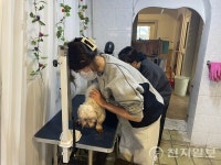 평택시 희망이음봉사단 안다동물보호소서 유기견·유기묘 봉사활동