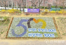 안양시, 안양천·학의천 산책로 봄꽃 2만본 식재