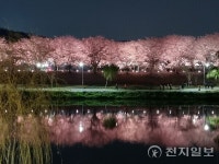[포토] 순천 동천강변에 핀 벚꽃 야경